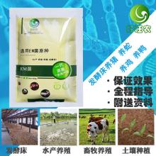 探寻食用菌优质种源 鱼台县科达食用菌研究所的菌种密码