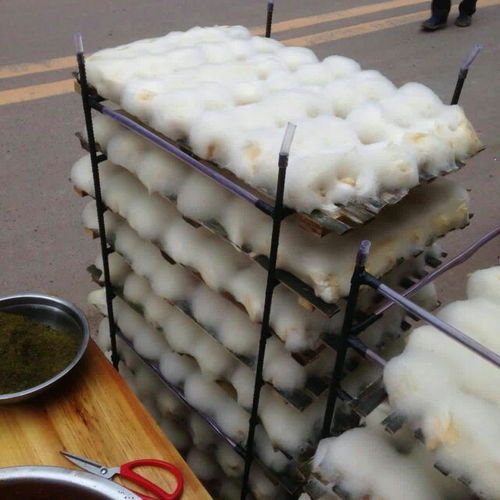 毛霉发酵菌种 探索腐乳与臭豆腐的传统工艺与健康密码